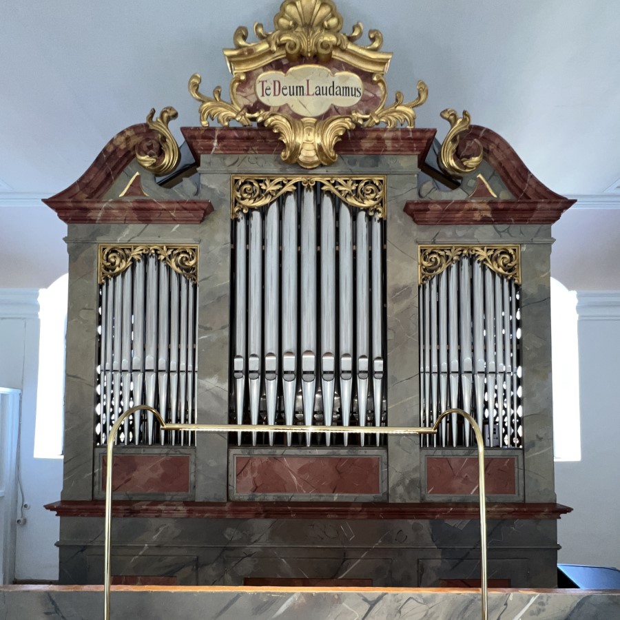 Orgelrenovierung Dettenschwang