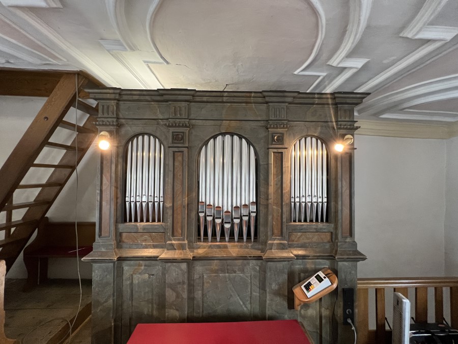 Orgelreinigung Steinmeyer-Orgel in Leidling